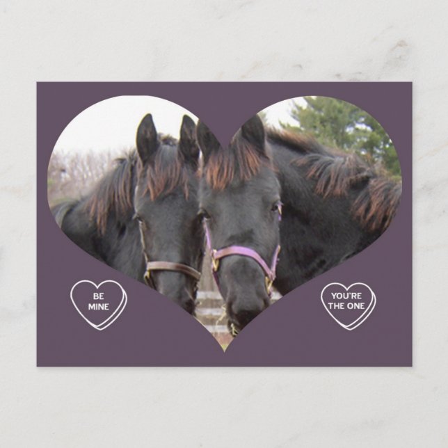 TWIN HORSES VALENTINE FEIERTAGSPOSTKARTE (Vorderseite)