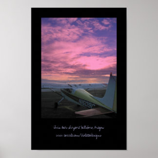 Twin Oaks Airport Poster