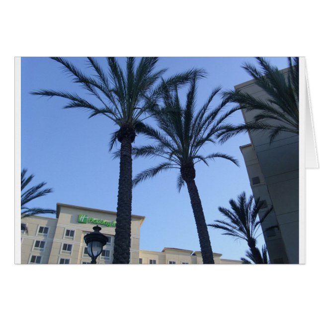 Twin Palms California Vacances (Devant horizontal)