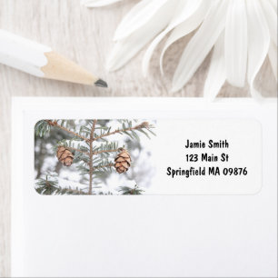 "Twin Pinecones" von MDG-Adressbüchern