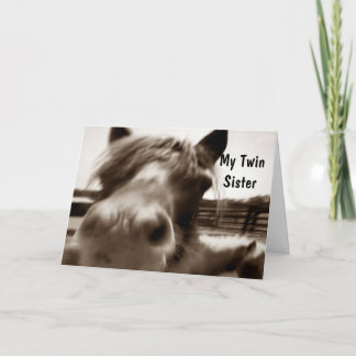 ***TWIN SISTER*** 40. GEBURTSTAG SPASS KARTE