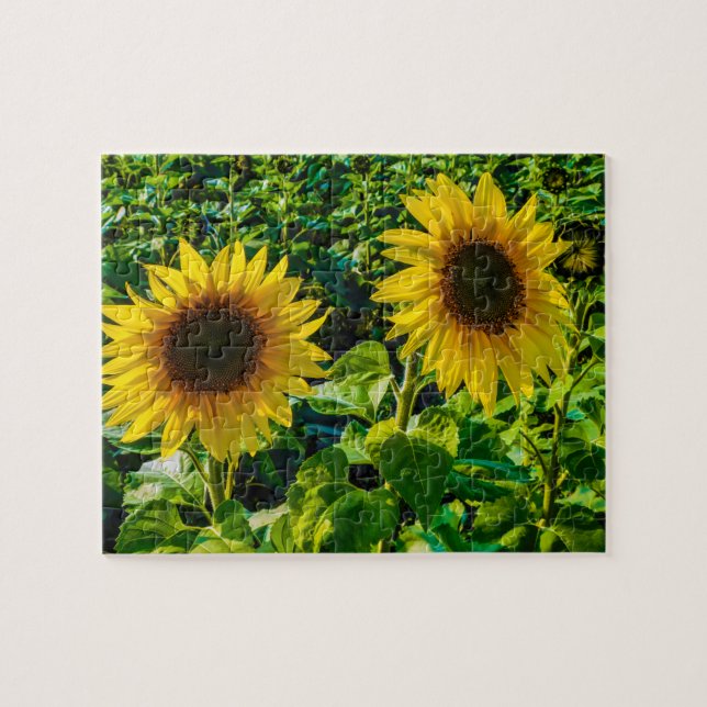 Twin Sunflowers (Horizontal)