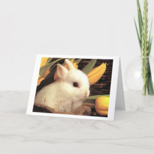 TWIN-THE-BUNNY SAGT GLÜCKLICH OSTER FEIERTAGSKARTE