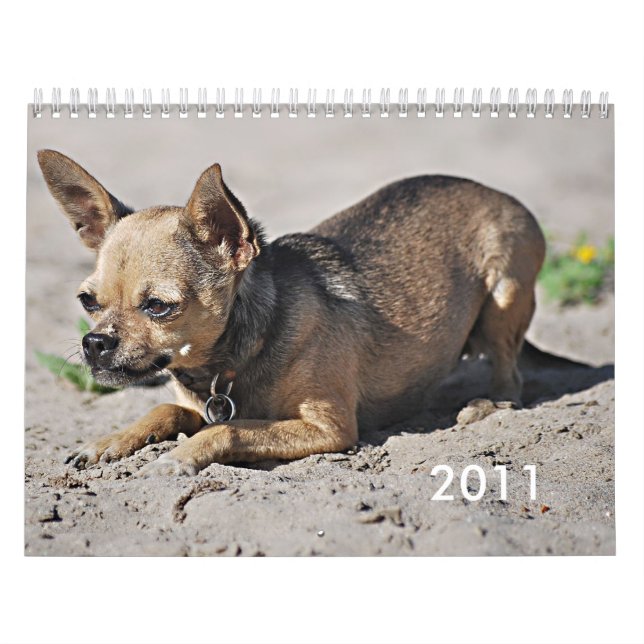 Twinkies 2011 Academic-Kalender Kalender (Titelbild)