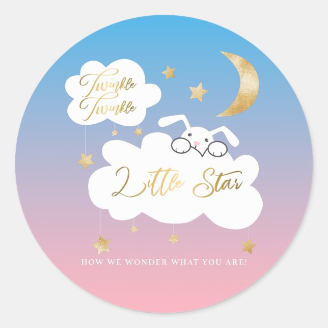 Twinkle Little Star Bunny Gender Reveal Gefallen Runder Aufkleber (Vorderseite)