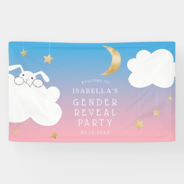 Twinkle Little Star Bunny Gender Reveal Willkommen Banner (Horizontal)