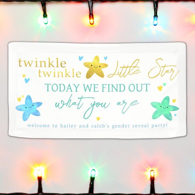 Twinkle Twinkle Little Star Gender Reveal Banner (Von Creator hochgeladen)