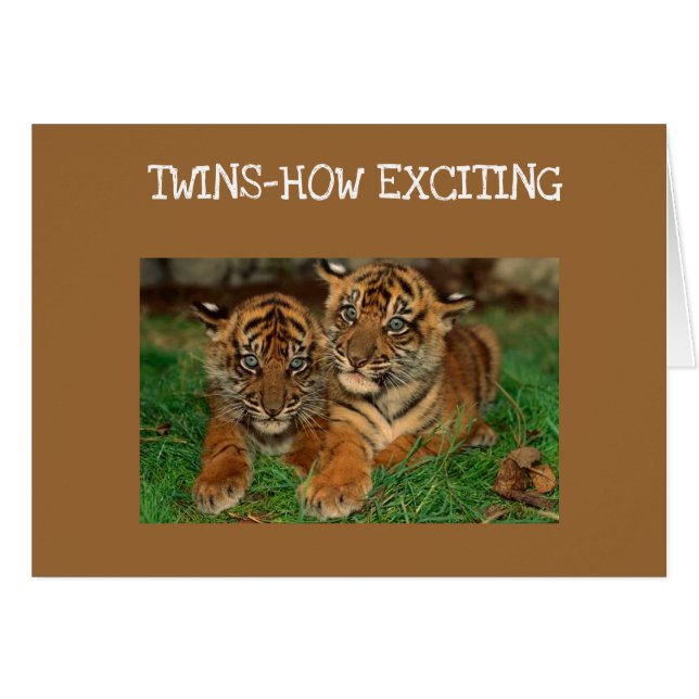 ****TWINS*** - LA CARTE "NOUVEAUX PARENTS" EXCITAN (Devant horizontal)