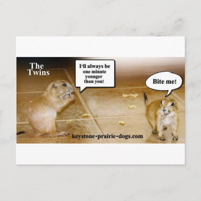 Twins Postkarte (Vorderseite)