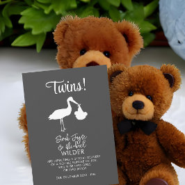 Twins Pregnancy Announcement Card Moderner Storch Ankündigung