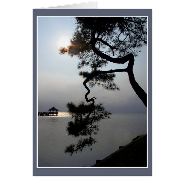 Twisted Pine (Vorne)