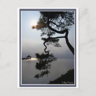 Twisted Pine Postkarte