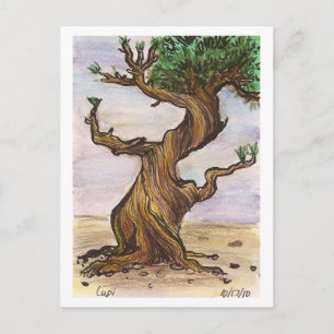 Twisted Tree Postcard Postkarte
