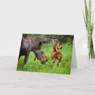 Two Alert Moose Mother And Baby Karte