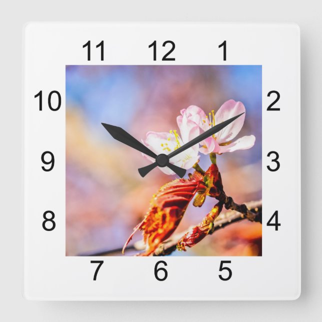 Two Amazing Sakura Flowers. Pink, Blue Background Quadratische Wanduhr (Vorderseite)