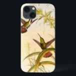 Two Colorful Hummingbirds Aiming for Same Flower title_seo2<br><div class="desc">Artist John Gould was passionate about birds. In this colored drawing,  the two hummingbirds and the flower are represented beautifully. Die Details in this colorful fine art will delight any art lover.</div>