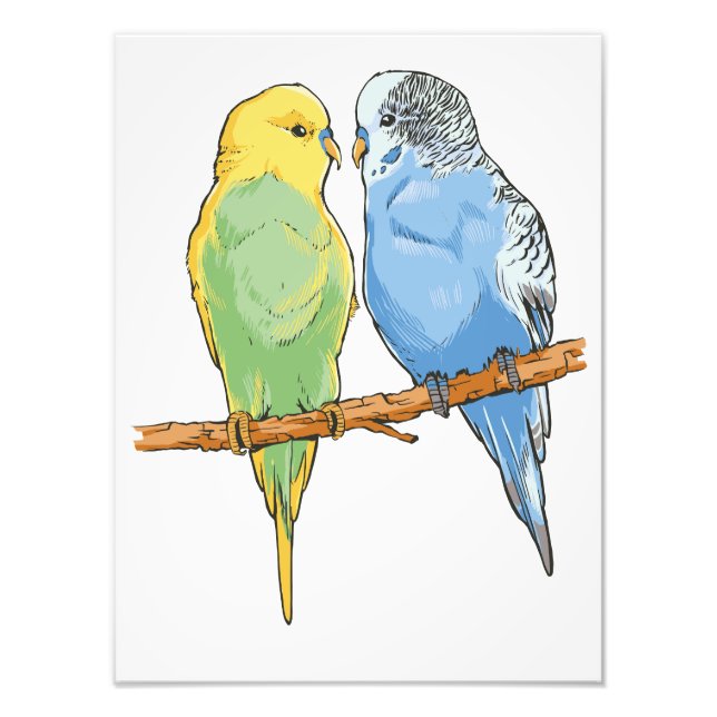 Two cute blue and green Budgies Fotodruck (Vorne)