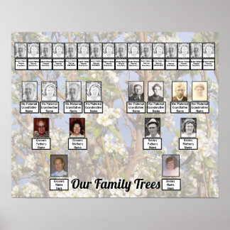 Two Family Trees on White Blossoms Photo Poster