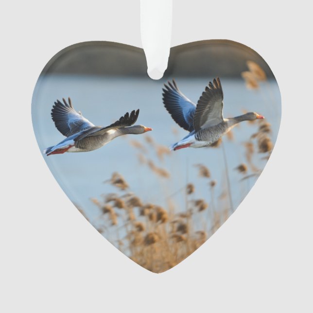 Two Goose Wildlife Lake Photo personnalisée (devant)