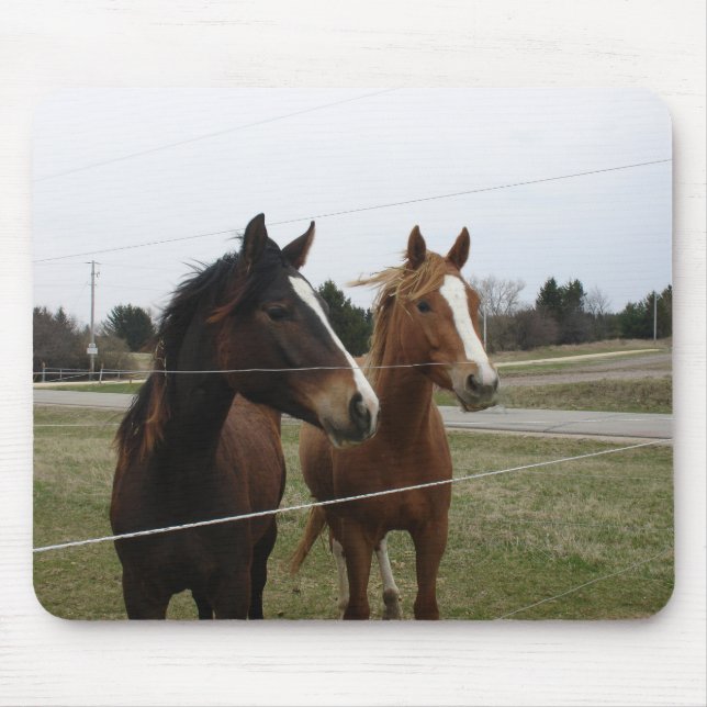 Two Horses Mousepad (Vorne)