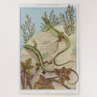 Two Lizards Vintage Illustration