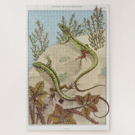 Two Lizards Vintage Illustration