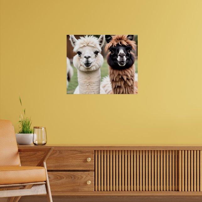 Two Llamas Poster (Wohnzimmer 2)