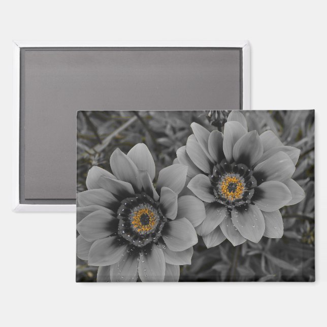 Two of a Kind Magnet (Vorderseite/Rückseite)