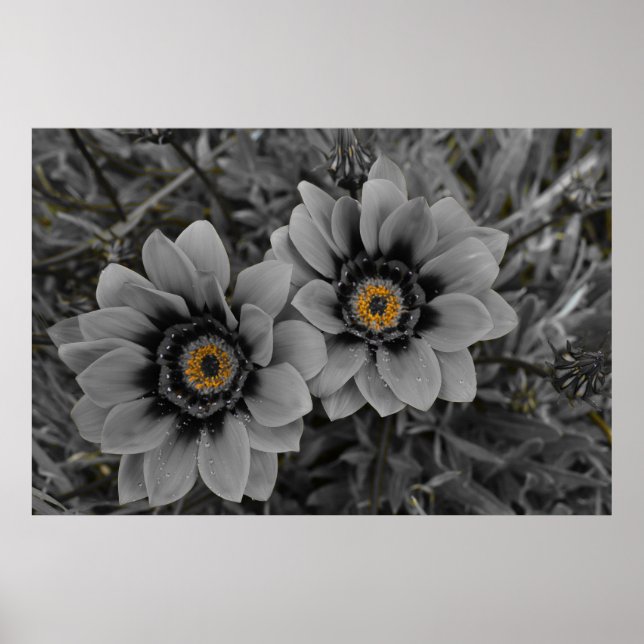 Two of a Kind Poster (Vorne)