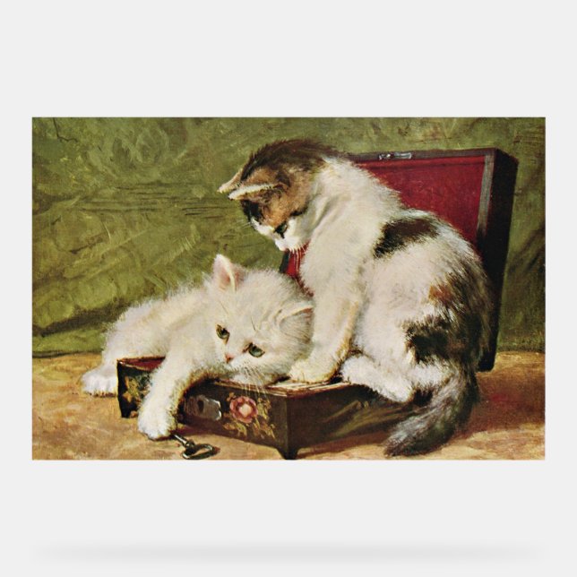 Two Playful Kittens Acrylschild (Vorderseite)