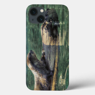 Two River Otters Wildlife Art title_seo2