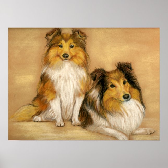 "Two Shetland Sheepdogs" Hundekunst drucken Poster (Vorne)