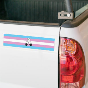 Two-Spirit-Trans-Pride-Flagge Autoaufkleber