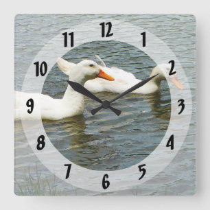 Two White Ducks Quadratische Wanduhr