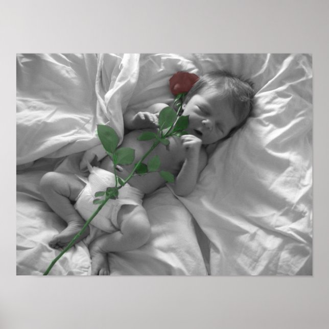 TwoBeautifulCreations Poster (Vorne)