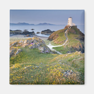 Twr Mawr-Leuchtturm auf Llanddwyn Insel Magnet