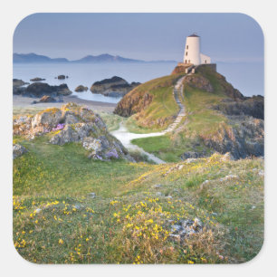 Twr Mawr-Leuchtturm auf Llanddwyn Insel Quadratischer Aufkleber