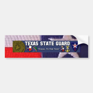 TX Flaggenquadrat, TXSG Lizenz plt voll Autoaufkleber