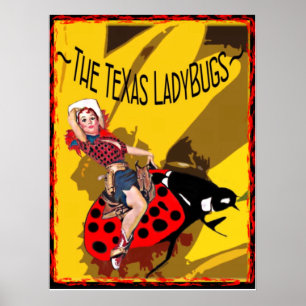 TX LadyBugs Poster mit Kitty Bug