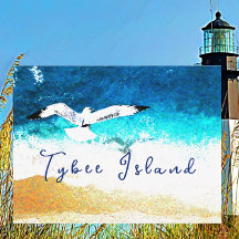 Tybee Island Georgia Seagull über Strand