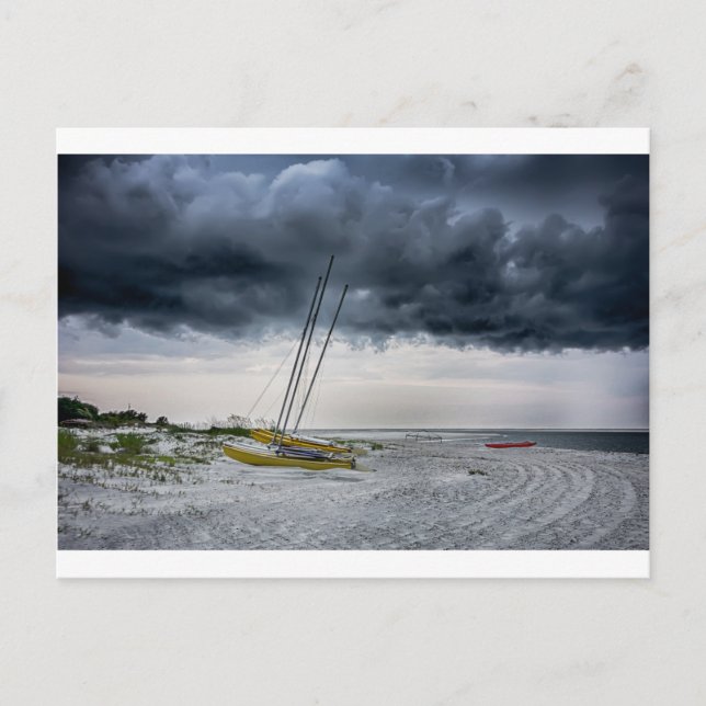 Tybeen Insel Strand Savannah Georgia Ozean sogar Postkarte (Vorderseite)