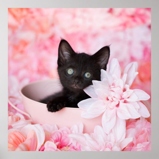 Tye Pink Floral Poster (Vorne)