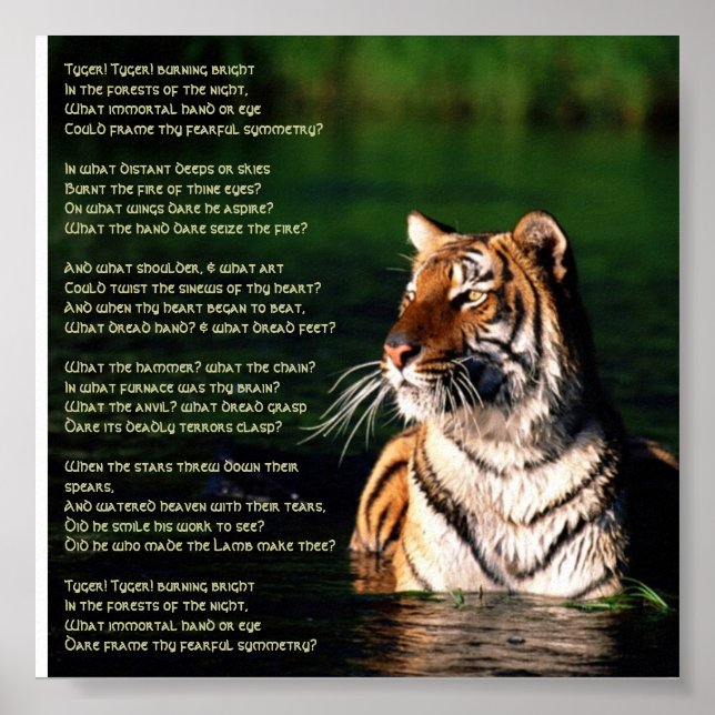 Tyger, Tyger Print Poster (Vorne)