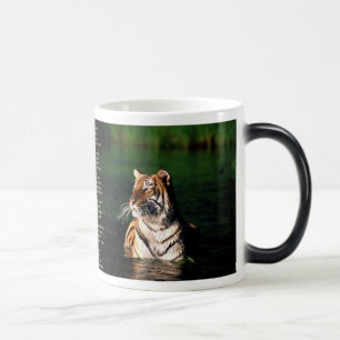 Tyger, Tyger Verwandlungstasse