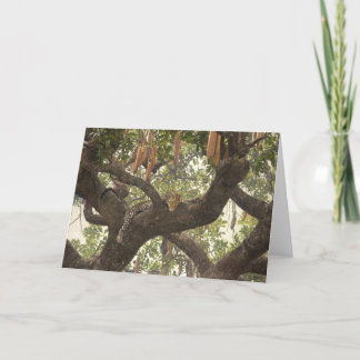 Typ Combes Tier-Kunst-Gruß-Karten Karte