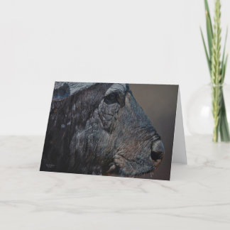 Typ Combes Tier-Kunst-Gruß-Karten Karte