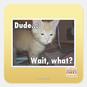 Typ Quadratischer Aufkleber