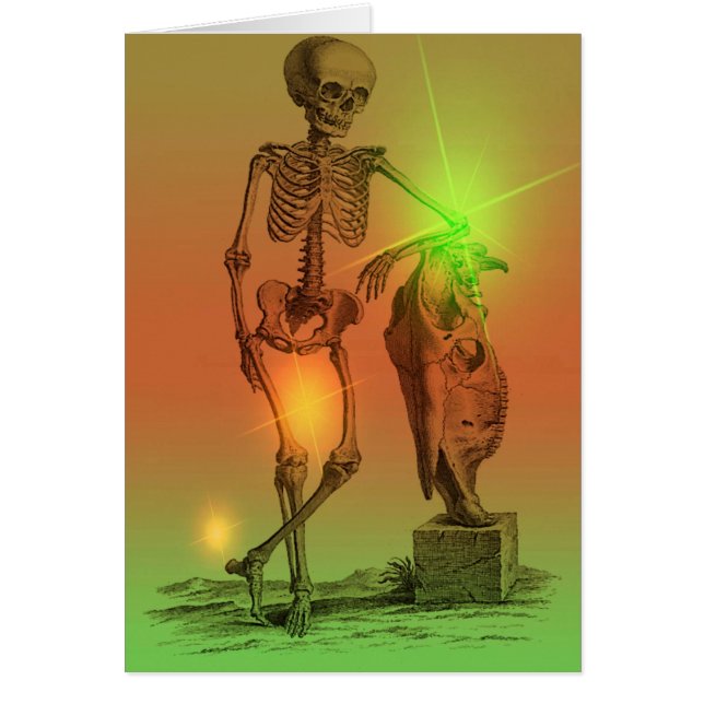 Type de Newf (Devant)