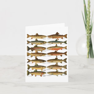 Type Of Trout Fish Species Fishing Gift Karte