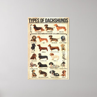 Typen von Dackeln Dog Poster, Dackeln bekannt Leinwanddruck